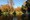 tiny_thumb_parques__1_