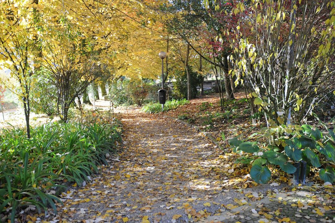 parque_do_lago__2_