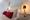tiny_thumb_263716509