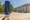 tiny_thumb_golden_tulip_braga___10_