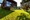 tiny_thumb_img_9816_2