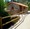 tiny_thumb_8730ec1a_original