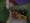 tiny_thumb_facebook_1574548598231