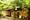 tiny_thumb_255988075