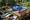 tiny_thumb_158100223
