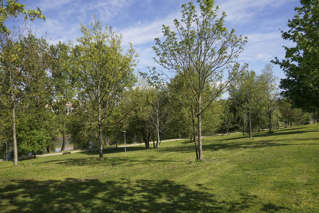 parque_insua_ponte21_337