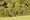 tiny_thumb_parque_insua__3_