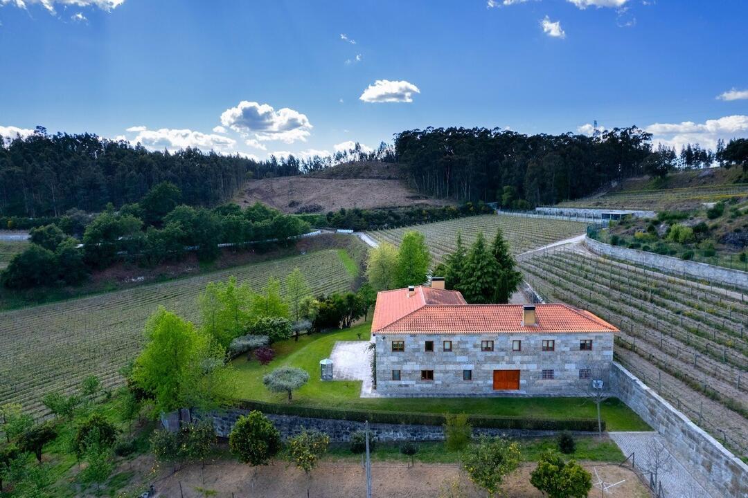 quinta1
