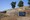 tiny_thumb_castro_sabroso
