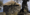 tiny_thumb_2009021916592969772