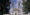 tiny_thumb_20090219172521663094