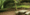 tiny_thumb_20090220144030512207