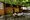 tiny_thumb_01