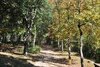 parque taipas_1684