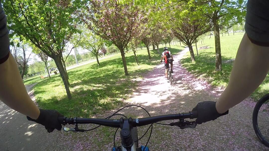 27_THROUGH THE PARK