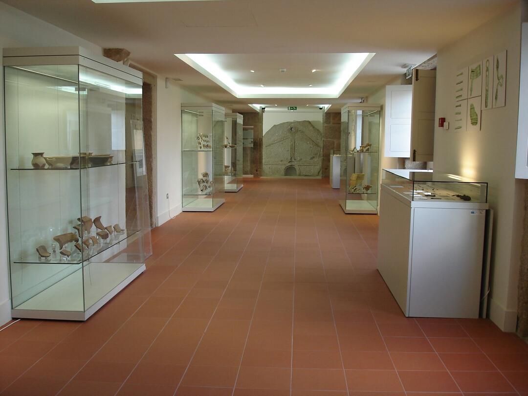 Museu da Cultura Castreja