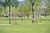 parque lazer da cidade desportiva_5173