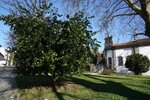JARDIM DO CARMO (6)