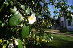 JARDIM DO CARMO (3)